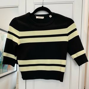 ALC Crop Top.